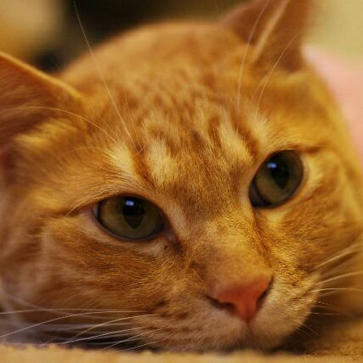 443003cb 961d 47b2 8f4c 4834879f90e0 1523691188119