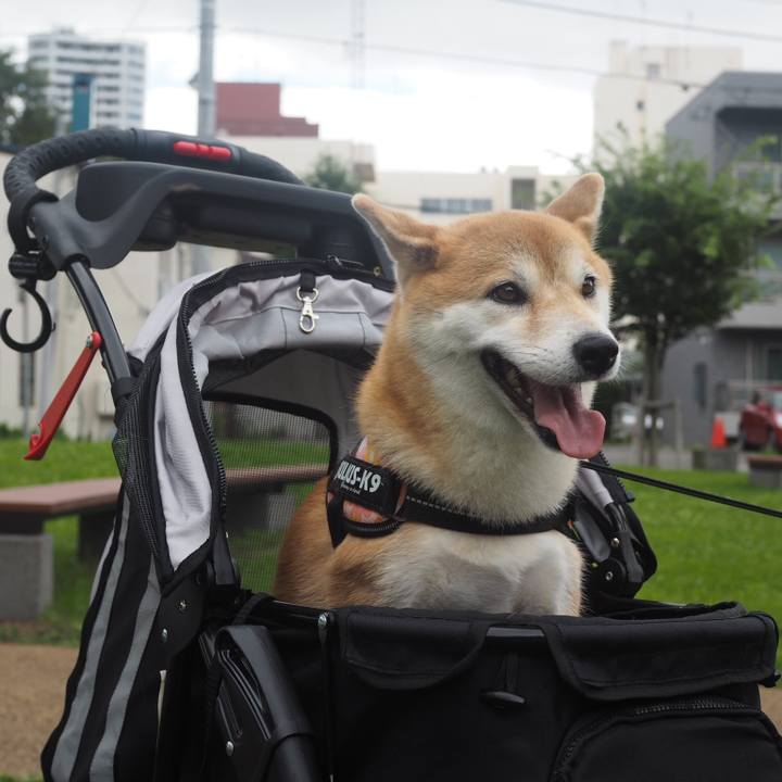 44300a20 357d 4620 a79f dd57a3eec624 1535261373806