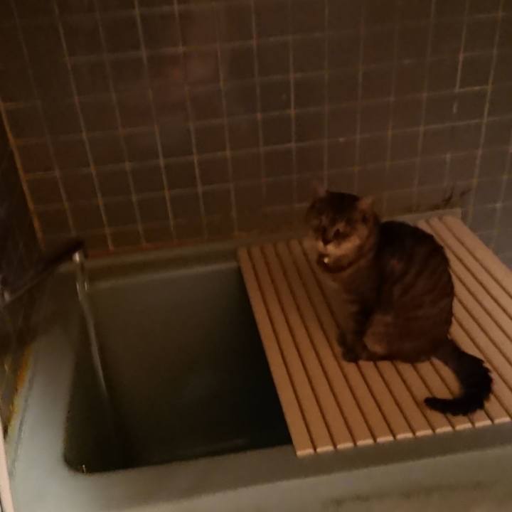 44303162 ad49 4c75 8905 c8d40cf2b41e 1573117550726