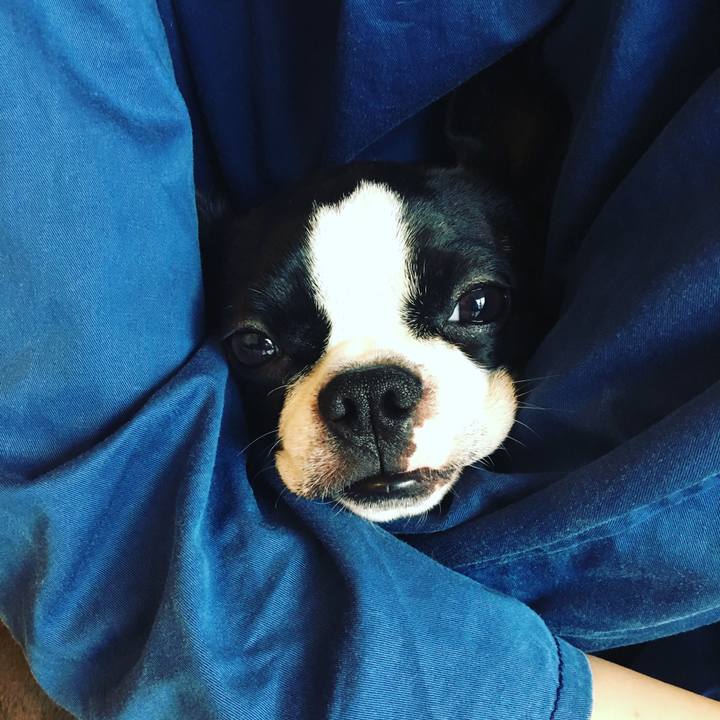 4430384c 6862 42a6 bbdb 74c1e706a277 1531992988451