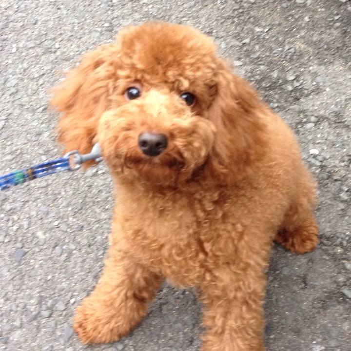 44308614 5905 45ec 9930 cb88eb31b810 1606622001225