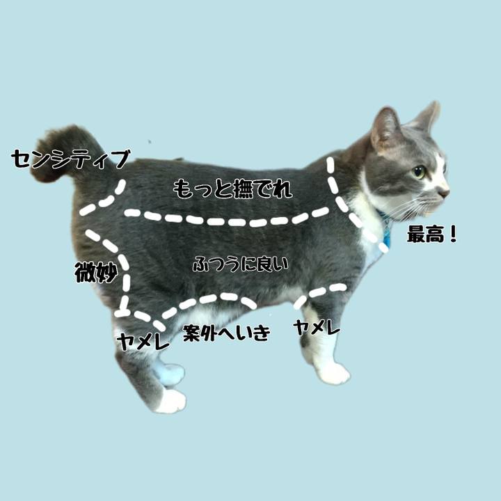 4430ad2a 640e 46c7 a633 3fbea116b270 1662421262565