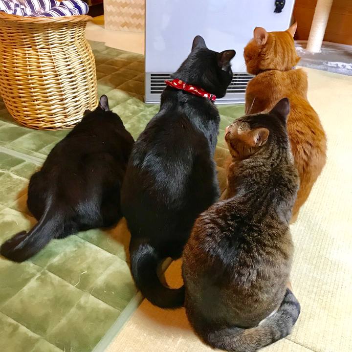 4430daac df3d 4fc2 b90f 8b31159ca21d 1517477521616