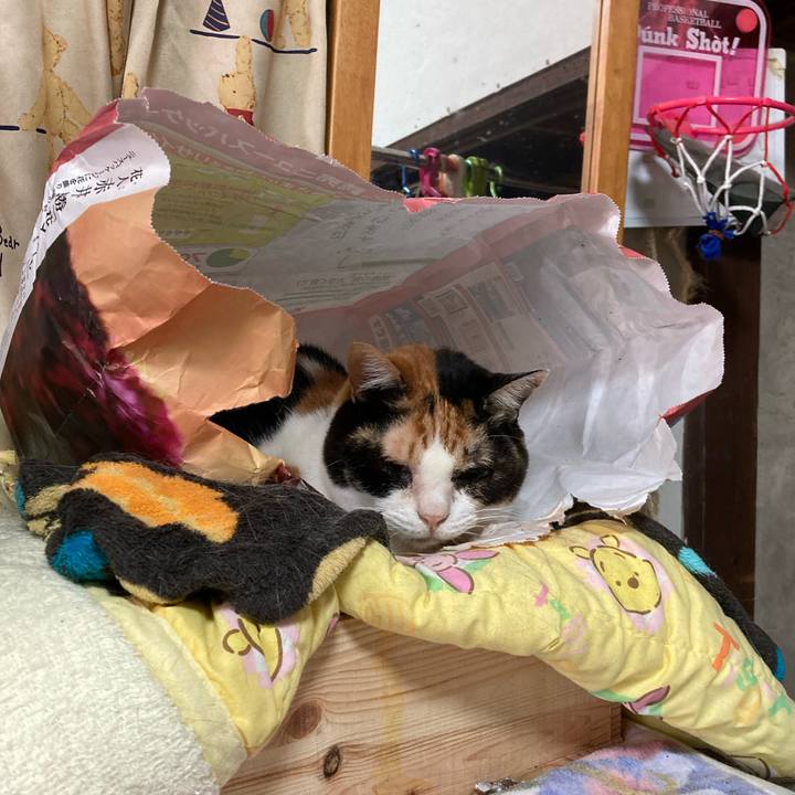 4430f785 d2ae 43f7 ab7a c82f83825f91 1617788021819