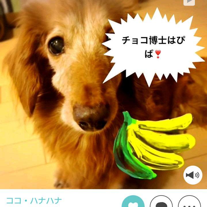 443125b3 8182 4ab8 8c4c 8c7da2274854 1542667254943