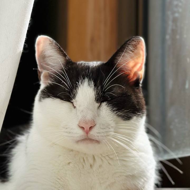 44312fb6 ff05 40c4 a076 1d2ad2842d23 1664849540430