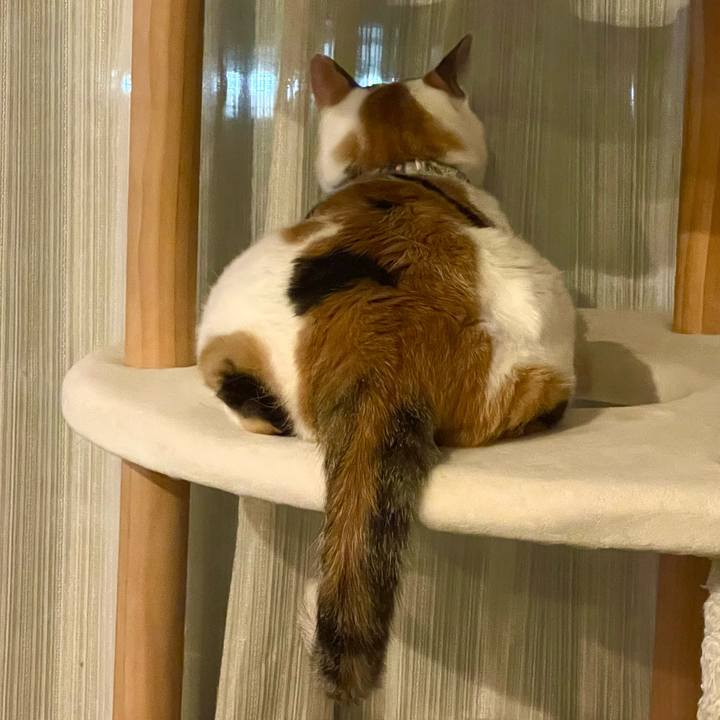 443165bf d348 479e b5e1 7c904be84ec0 1720272641295