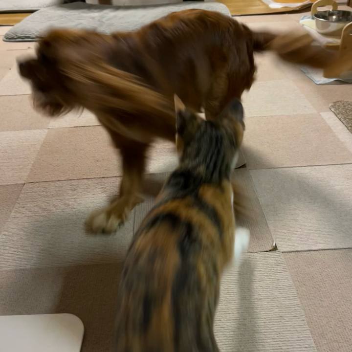 44316c35 dcf4 42ca 9dc6 d6218fa45933 1659615649588