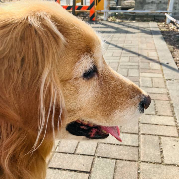 44317a34 fd65 4272 a905 31f0a865cf4c 1771050072181