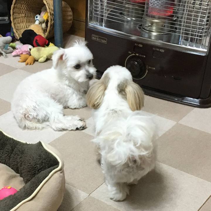 44319f38 1b04 4f6a b640 57f4156561c4 1602934041348