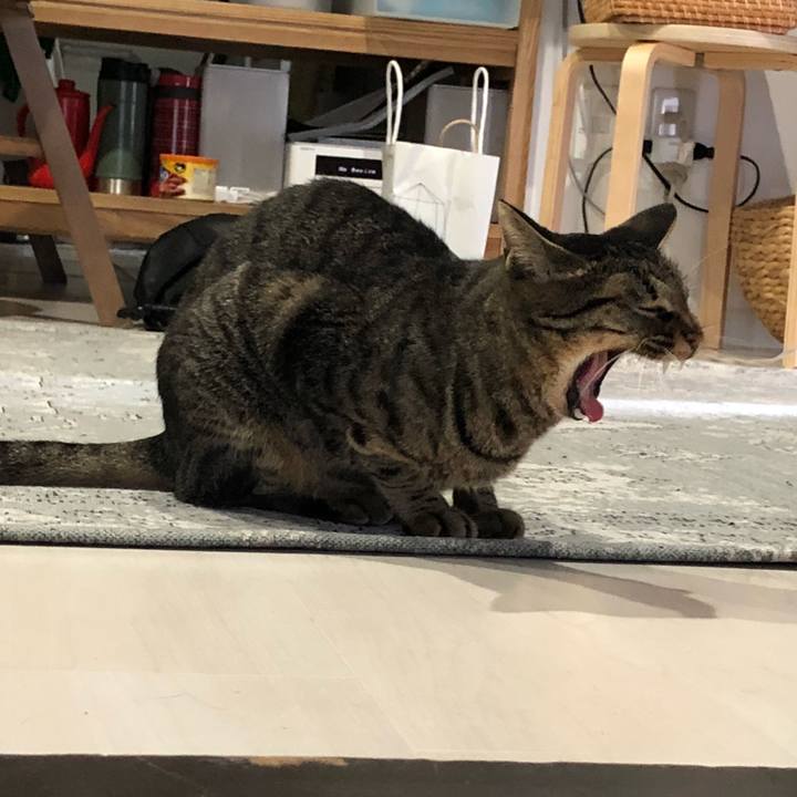 4431c692 5812 402a 879e b691804a7dfa 1537202141424