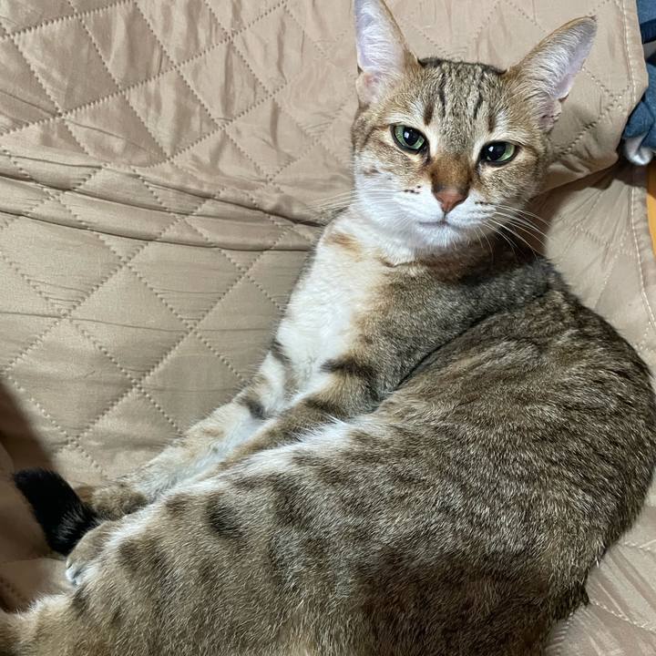 4431f920 25ef 48ed 9fe1 fb035bef7dfe 1713270488609