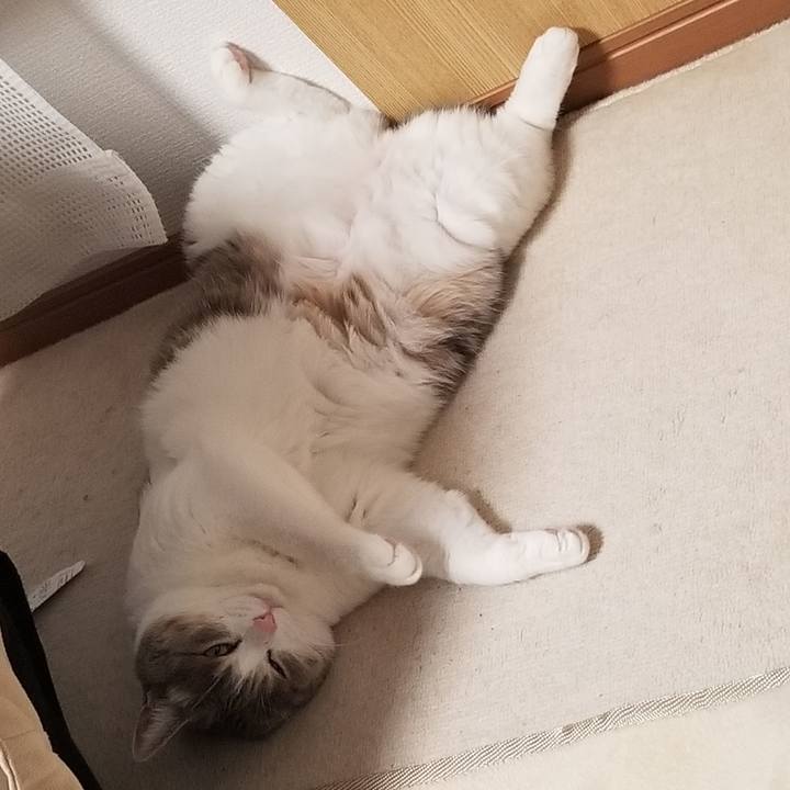 44324859 1fc8 4829 8c85 7a6f39f1f3e4 1667534761003