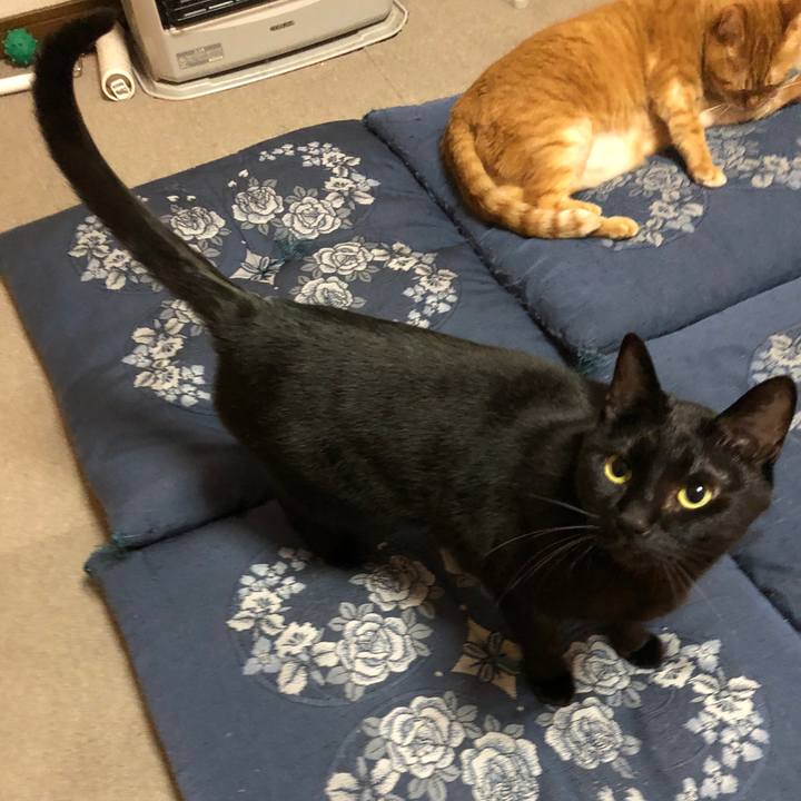 443267cd ba5e 4e10 adca 4459f63743e1 1679836953440