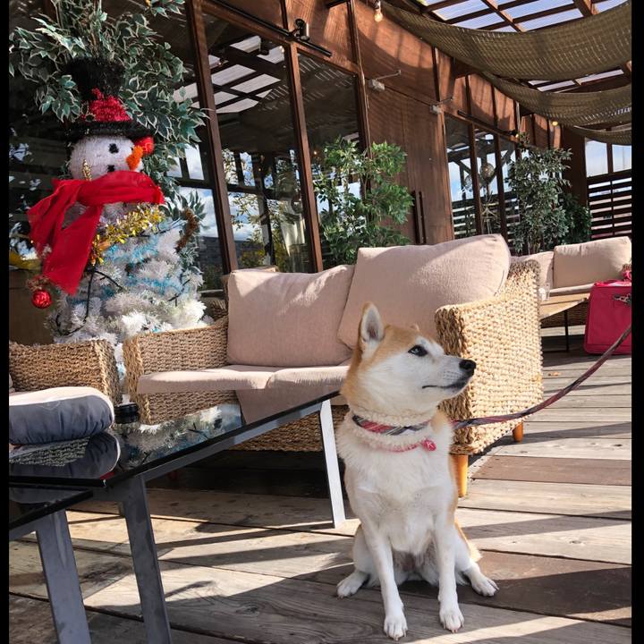 4432a9ec db92 452f 8ed4 e88bcfa678a0 1574227835135