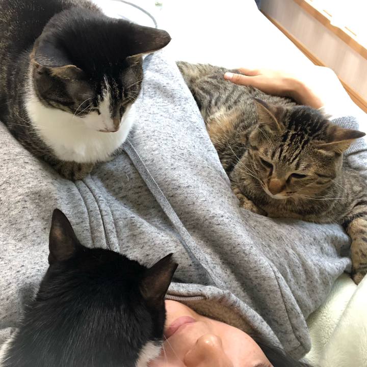 4432bb13 7524 4b86 a7f4 0d011e2e30ed 1556333089562