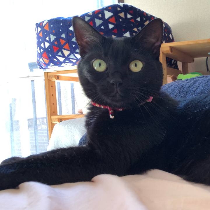 4432ed32 9605 4c34 b4b5 9ad7162904e8 1622330919519