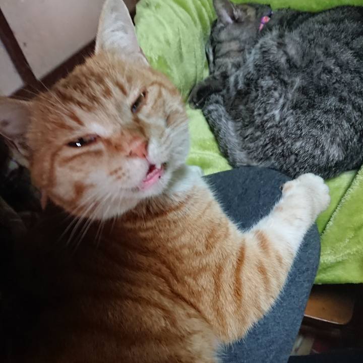 443300ed c6b4 4730 abb4 79effffbb624 1583633910953