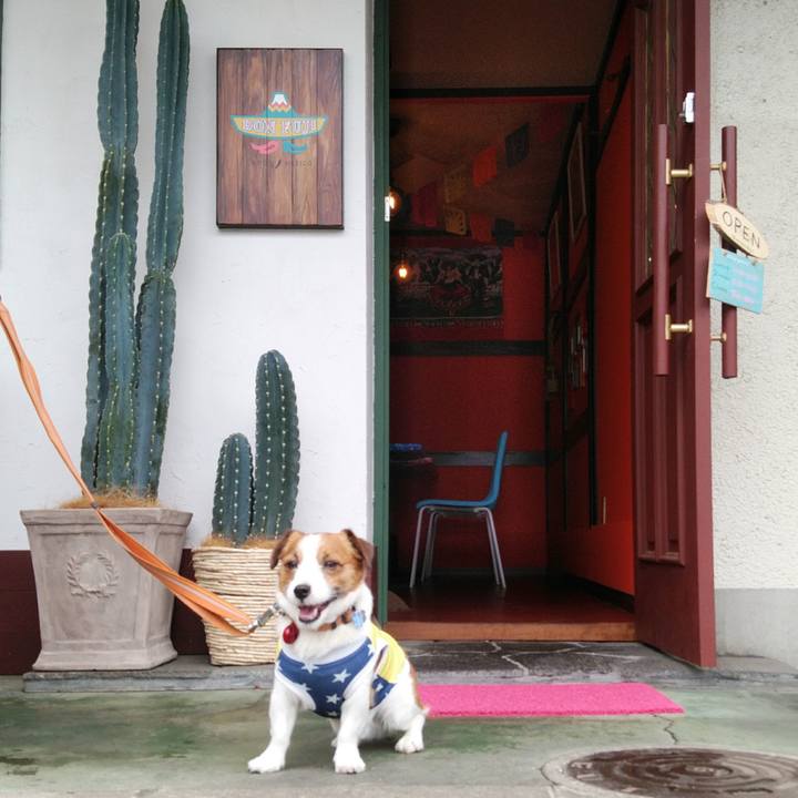 44331b7d d4c6 466d bec5 6d25d2c2446f 1529555194379