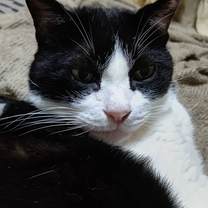 44333adf ed1f 425d b7d3 00ffb454ef04 1632308007804