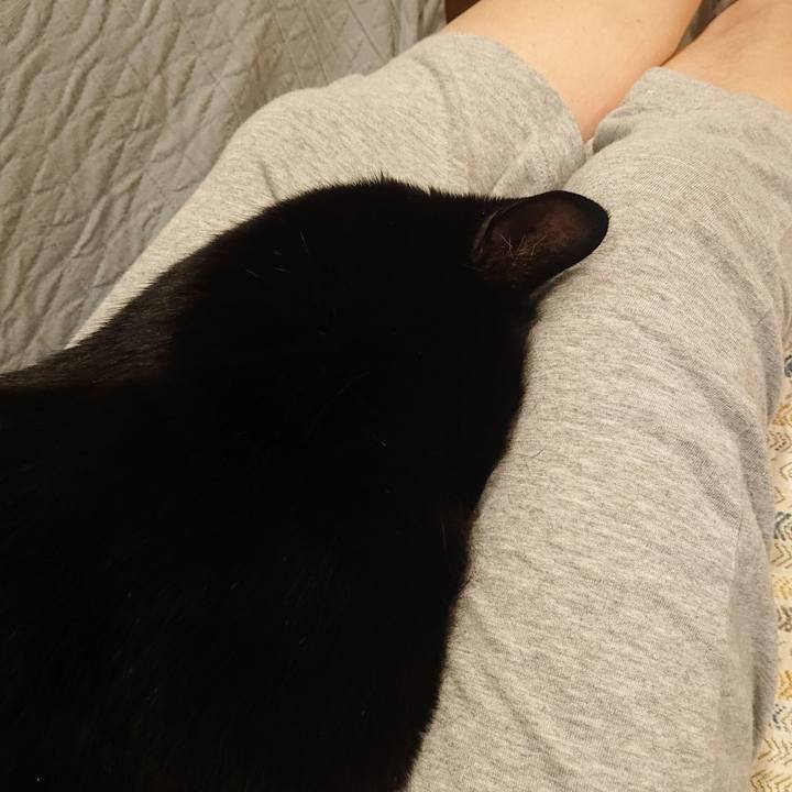 443350ae a268 4634 916c 2ce97f874965 1649505499796