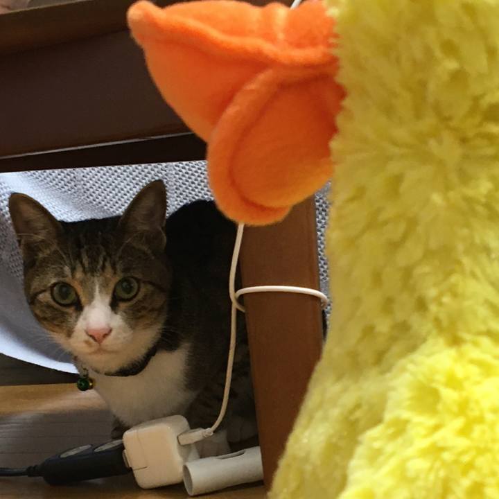 4433a1e9 a758 4f16 a42f d53bab137520 1680660392033