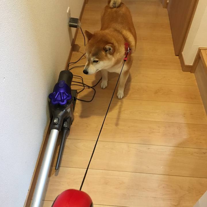 4433adf5 39e7 4bfa af40 2d68ccc46b30 1540171105187