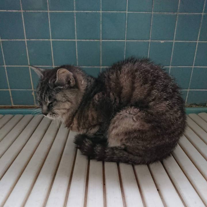 4433b27c 6098 45ae 942a 7dedc3bbeaa9 1601153897980