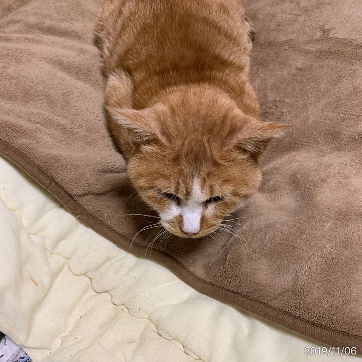 4433fd77 fdd3 46d1 ae03 b314399d2580 1573047365839