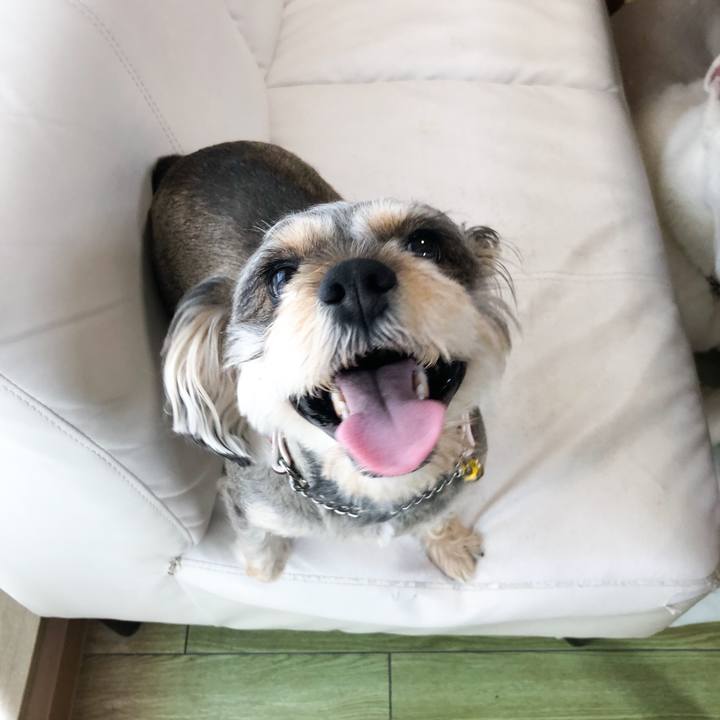 44340454 519c 4509 8f8e 7d5197eb94bf 1554282883222