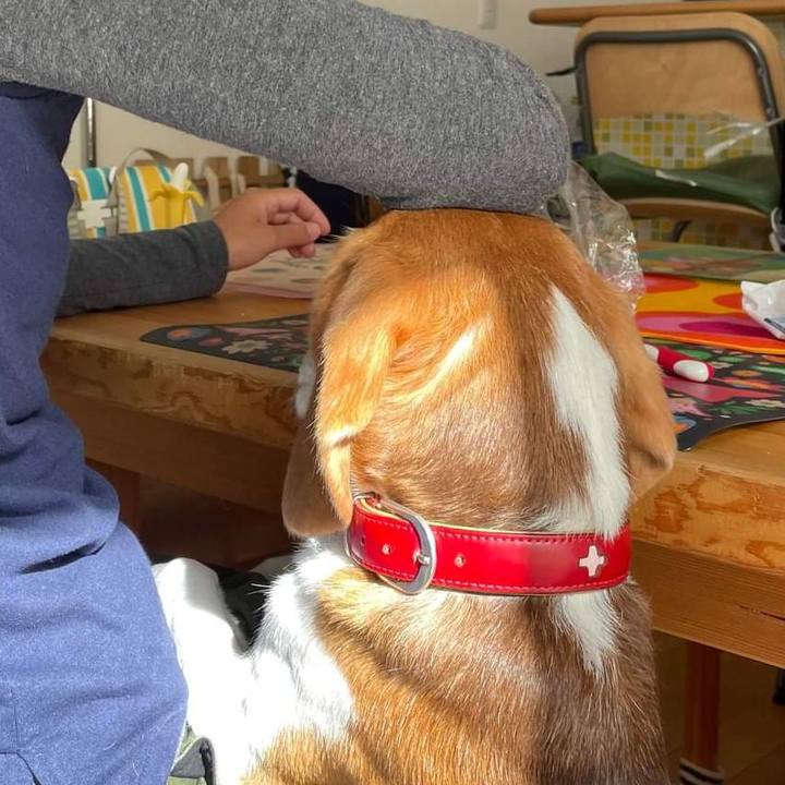 44340b8d 87eb 4e48 b07d bf49f38c2b2f 1669093059244