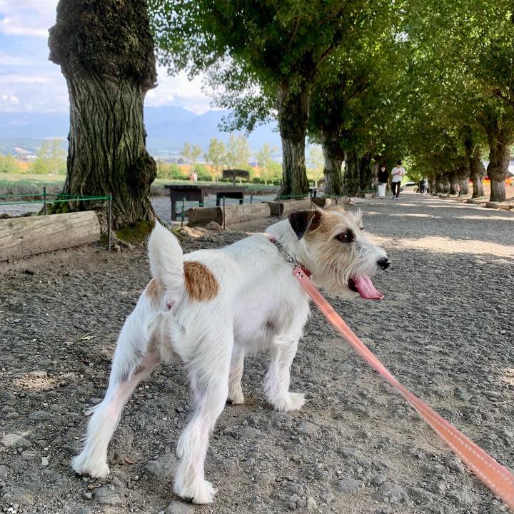 44341590 1b56 4705 ae90 cef80d7036d8 1663073030931