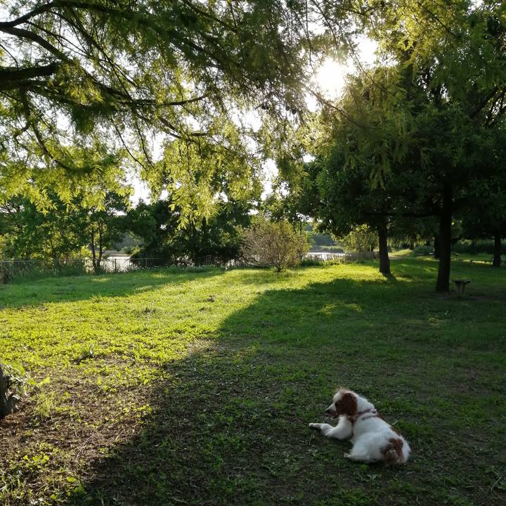 44341843 cd94 453f 8867 d0254e96da47 1623323793872