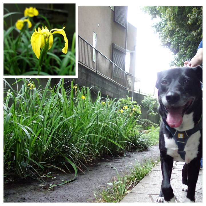 443451b1 0bab 43d7 851f b96dc963cab3 1715128925088