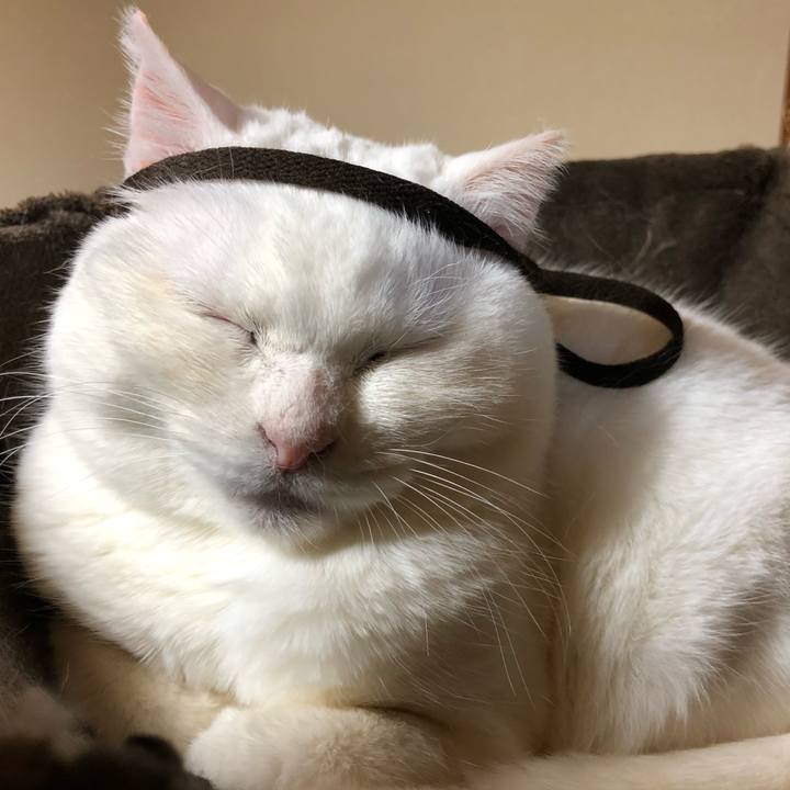 44347924 cc8c 46a9 b8e2 d89fb063aa30 1554131161060