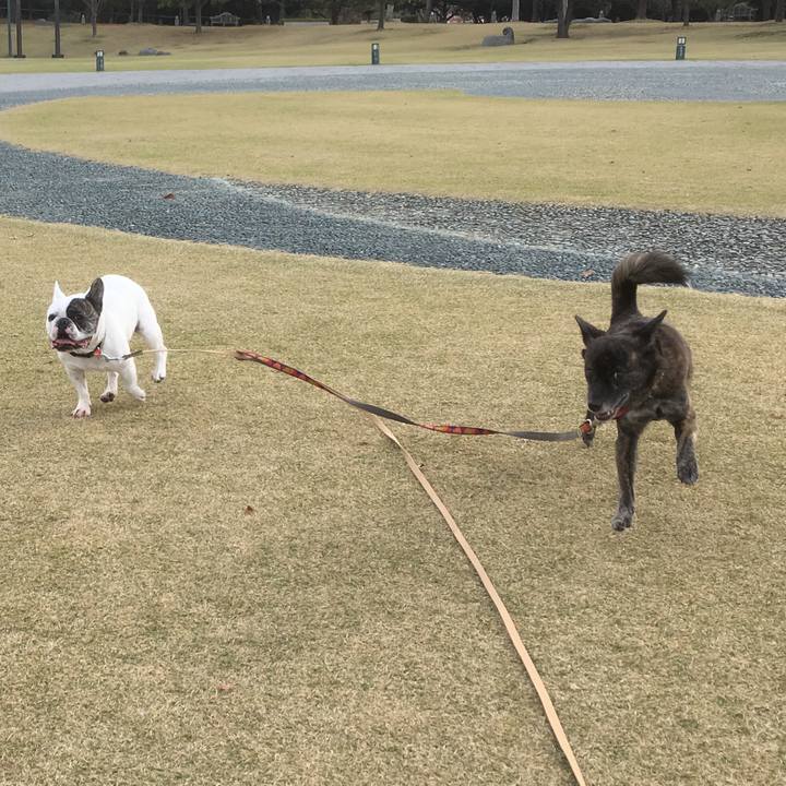 4434b5b6 d69a 4557 9ce7 79d2a4deb072 1544409238759