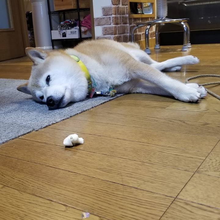 4434fae3 bc28 4052 a142 5bb20d2cddb1 1689500711006