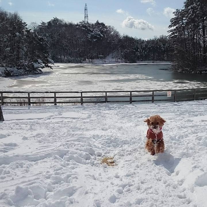 4435162f 24b2 4325 8989 7a47b7ac3848 1518520471288