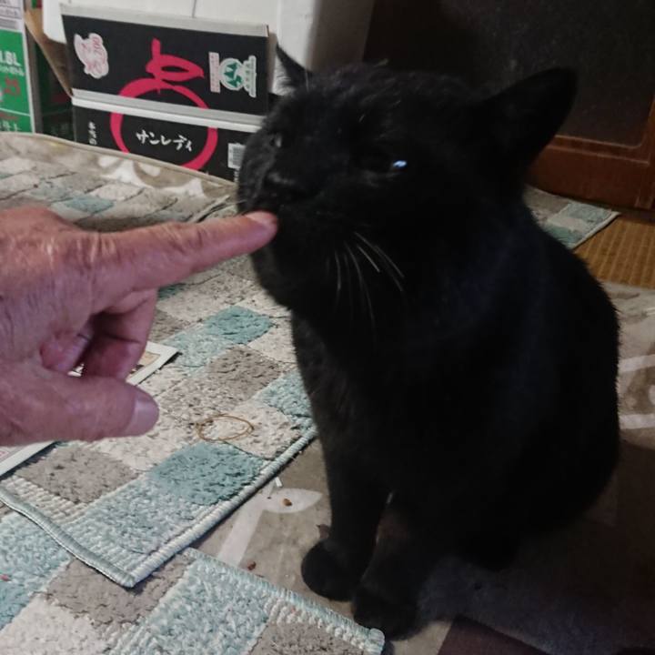 44353000 5943 4269 9cd1 e9cd89e90951 1649886383022