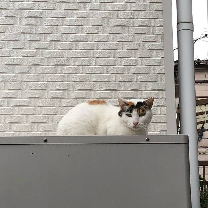 44357457 38fb 4212 982a 2eaf4d8cbd0d 1603577163187