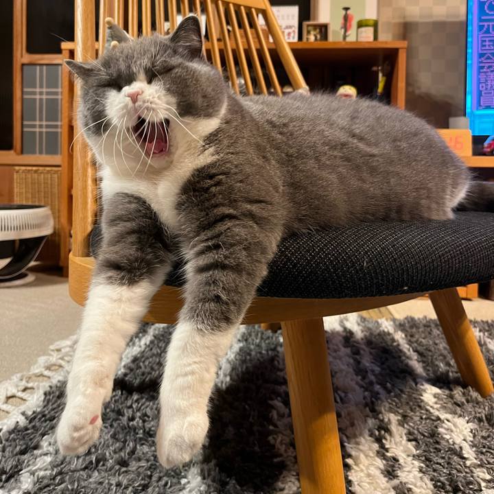 44359450 c344 43bc 9ca5 c5cf3e3fc0fd 1702113844323