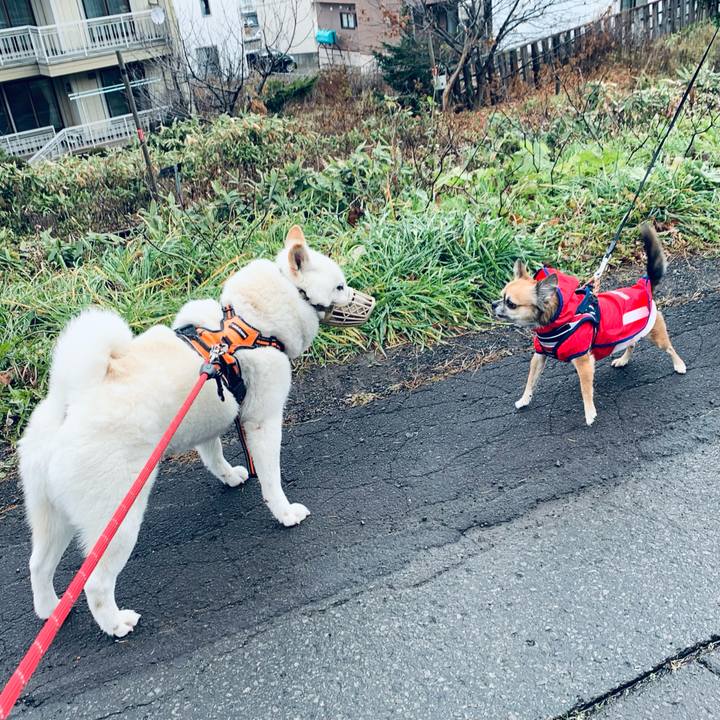 4435afeb 1e15 469b be3b ae9708badb77 1637462493657