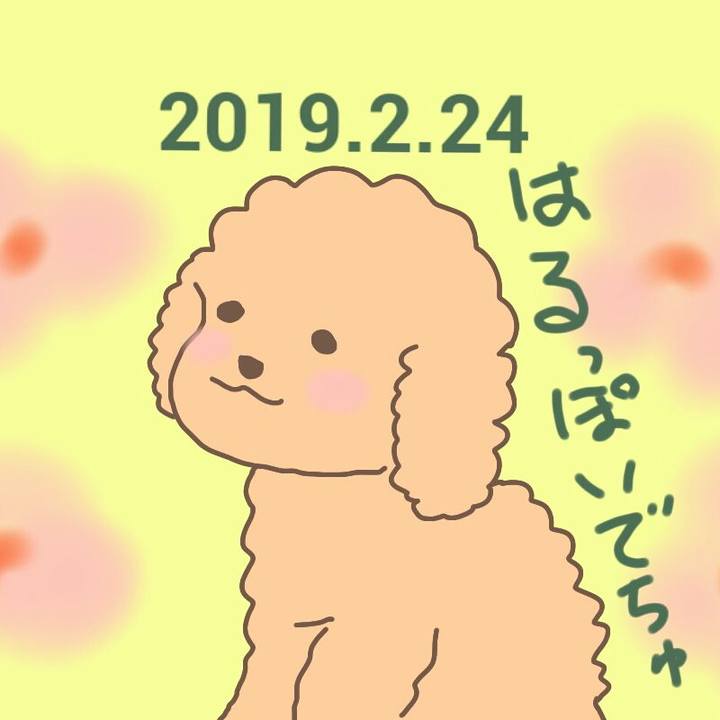 4435b0a1 ea67 47db a389 9866d098d972 1550998964847