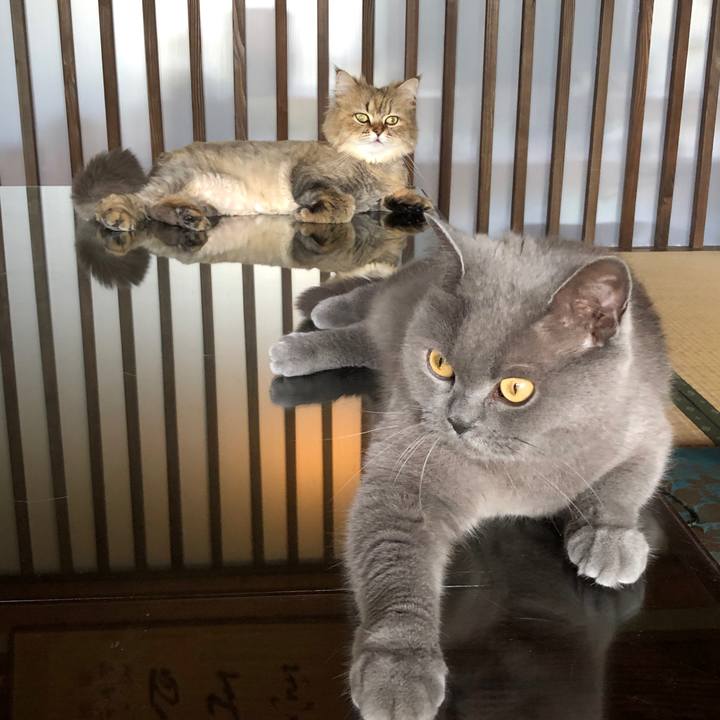 4435c32f 3d69 497c 9c18 46d92de6e55d 1561381107097