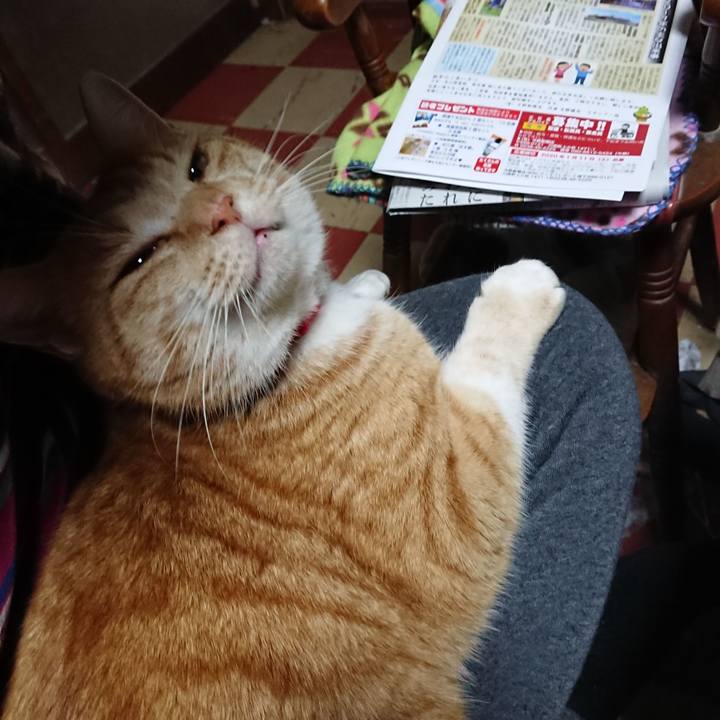 4435f0ac fbd1 4b08 b395 71b8f5174b3b 1577570029240