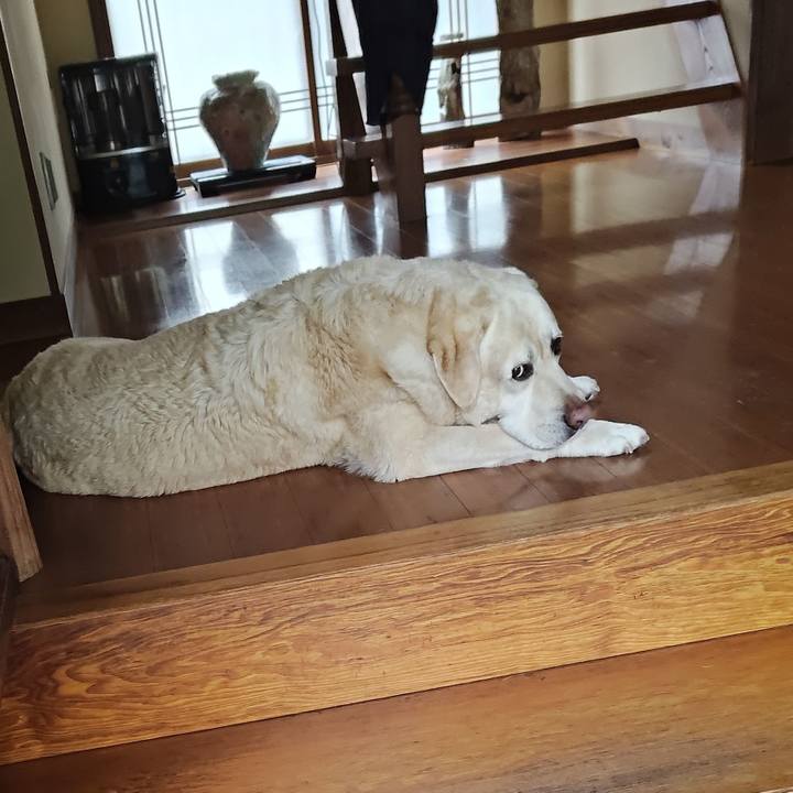 44360d1b 3d99 4490 916d c36f51f569ad 1727521612423