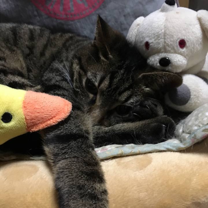 4436131b 2fa6 4cdb 9345 0b8049f9d6ec 1553861543659