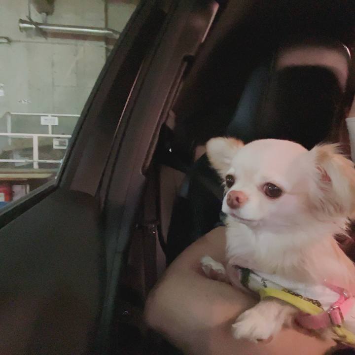 44362e04 9e91 4219 8fef febe600a9035 1684738354935