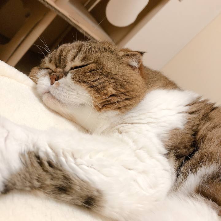 443633a2 6947 4e2d 9aa3 70e5ccdcc289 1602719939048