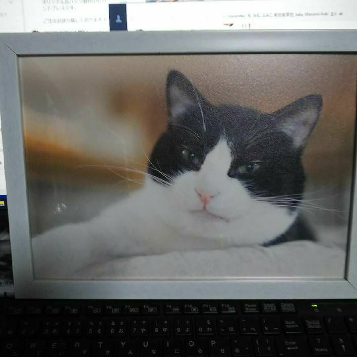 44363b28 72e4 4bc6 913b 2a78a6db14f7 1571997030590